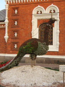 Павлин