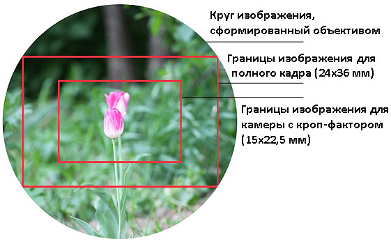 Отличие полного кадра от кропа